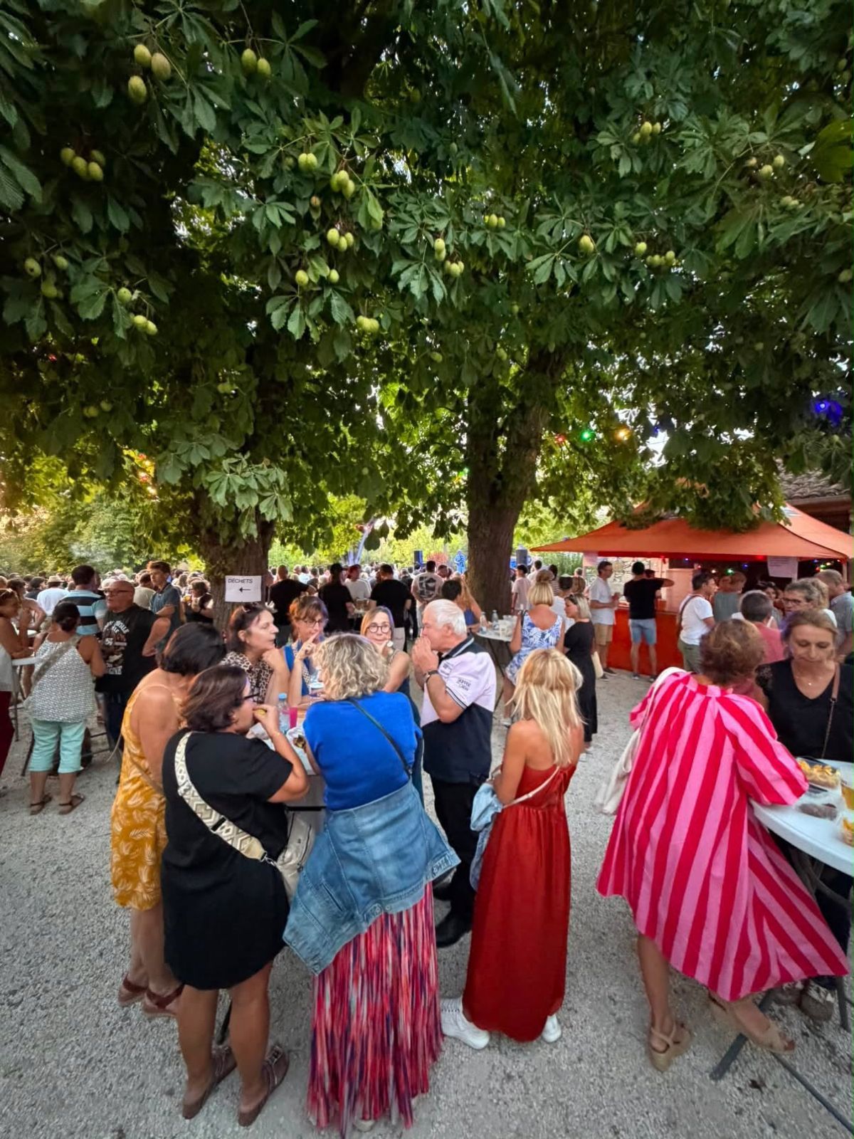 Le public sous les marronniers, près de la buvette